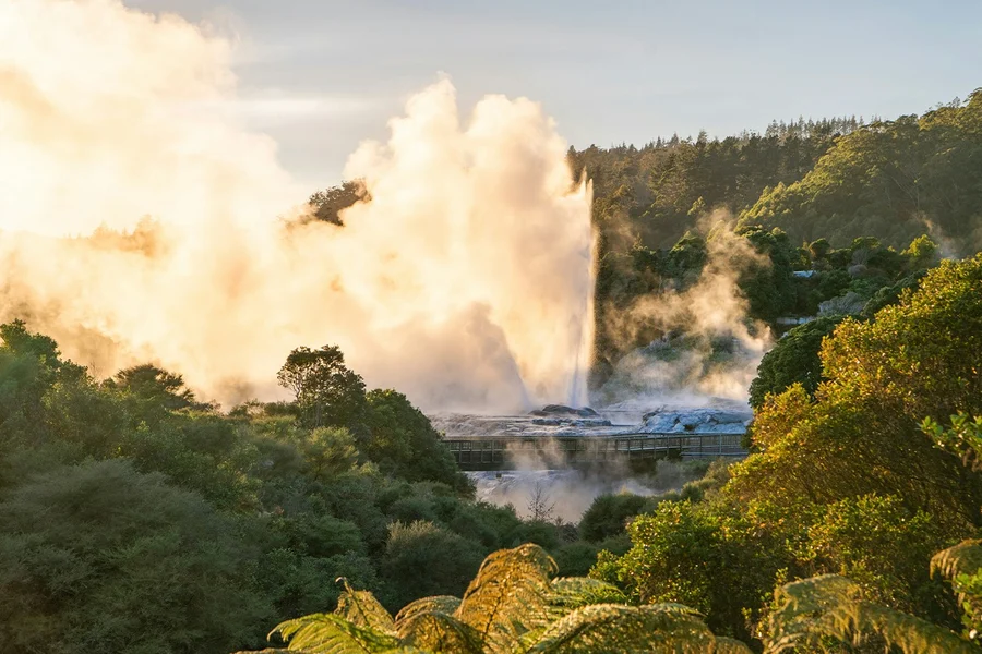 Te Puia: Te Pō Combo with Guided Tour, Cultural Performance & Hangi Buffet Dinner, Rotorua