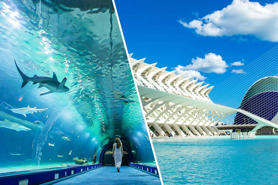 Combo: Oceanogràfic + Science Museum Tickets, Valencia