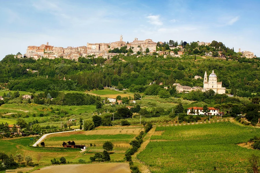 Chianti Classico, Montalcino, Montepulciano: Day Trip From Florence By Minivan, Florence