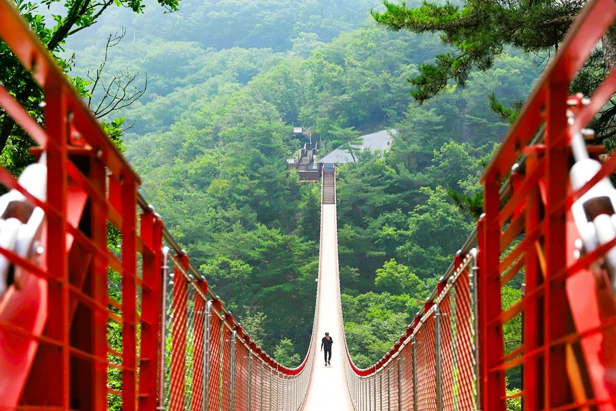 From Seoul: DMZ Day Tour with Mt. Gamaksan Suspension Bridge Visit, at Myeongdong Station Exit 10, Seoul