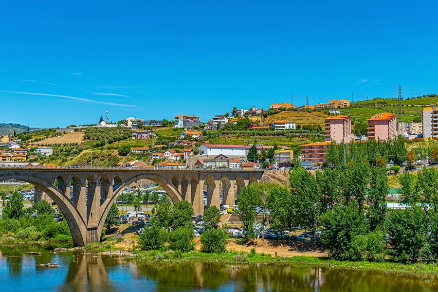 杜罗历史之旅,含午餐、品鉴体验及波尔图出发的河游船, Porto