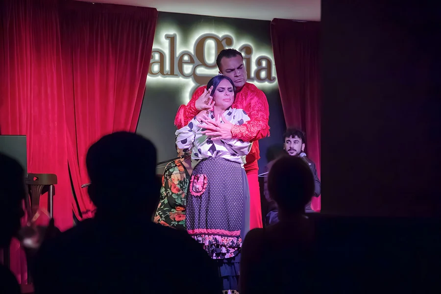 Alegría - Flamenco Show, Malaga