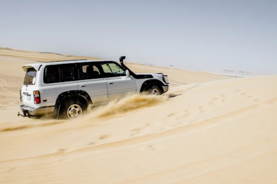 4x4 Desert Safari with Sandboarding & Camel Ride from Cairo or Giza, Cairo