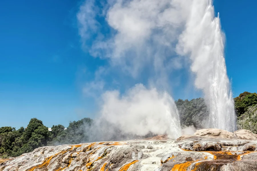From Auckland: Waitomo Caves, Rotorua & Te Puia Guided Tour, Waitomo