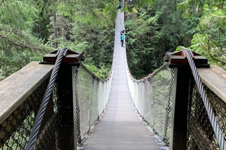 Vancouver: Guided Rainforest Hike with Waterfalls & Suspension Bridge + Transfer, Vancouver