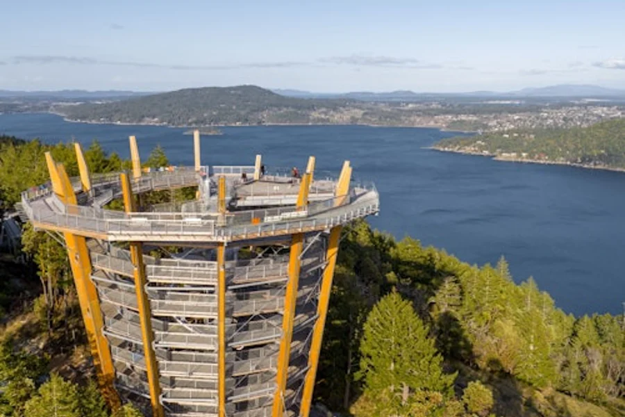 Vancouver Island: Malahat SkyWalk Entry Ticket, Victoria