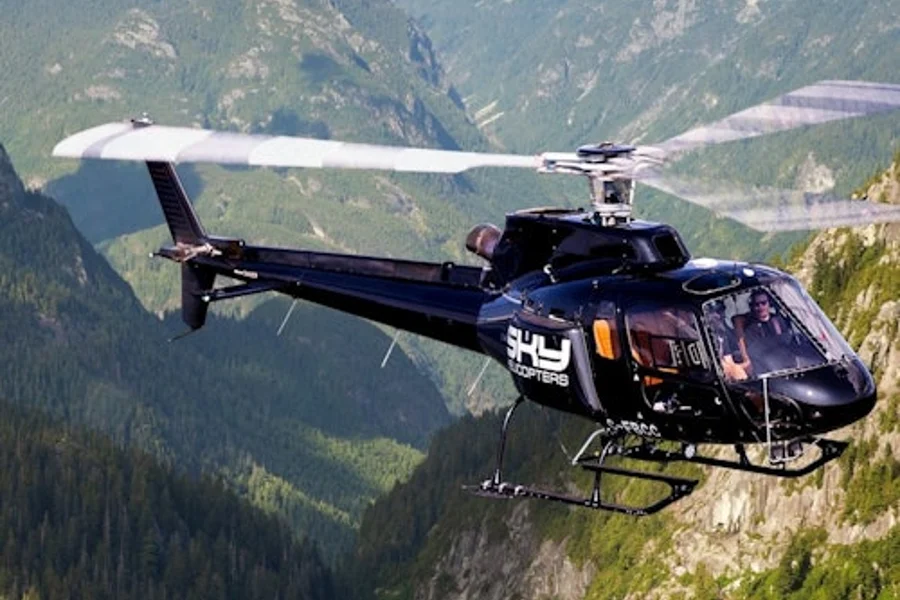 Vancouver: BC Backcountry 30 or 45 Min Helicopter Flight, Vancouver