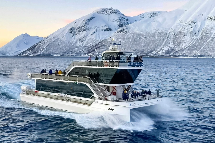From Tromso: Arctic Fjord Cruise & Wildlife Tour, Oslo
