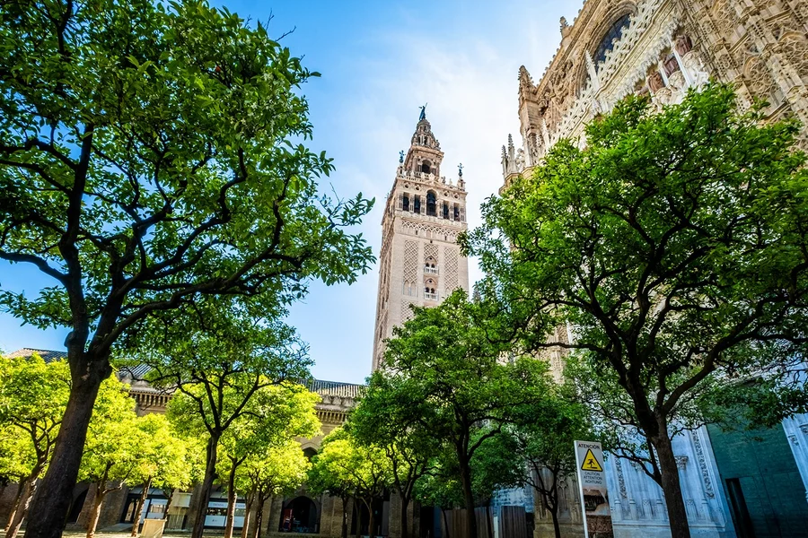 Guidad tur med prioritetsåtkomst till Katedralen i Sevilla & La Giralda, at Plaza Virgen de los Reyes, Seville