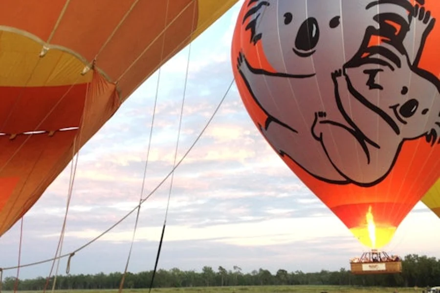 Gold Coast: Hot Air Balloon Experience + Drink, Gold Coast