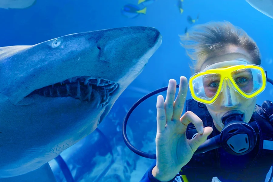 Shark Dive Xtreme Tickets at SEA LIFE Sydney Aquarium, Sydney