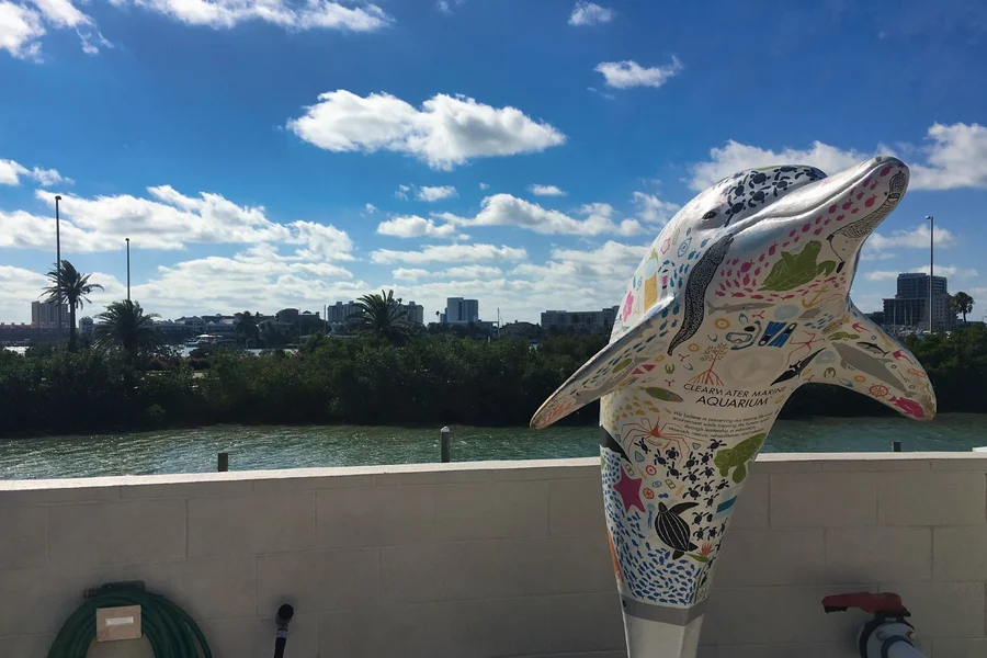 The Dolphin Encounter Tour and Clearwater Beach Tour, Orlando