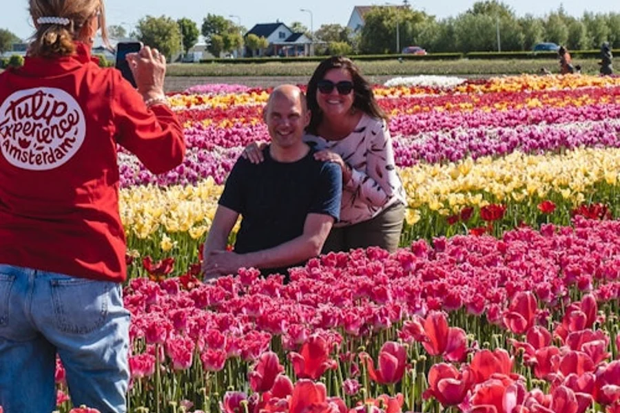 Keukenhof & Tulip Experience: Entry Ticket + Transfer + Coffee or Tea, Amsterdam