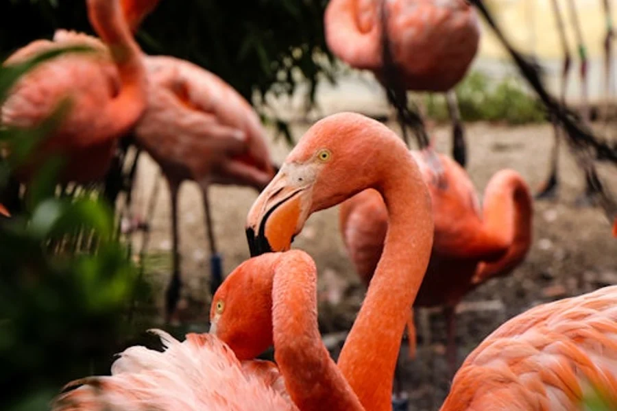 Flamingo Gardens: Skip The Line Ticket, Miami
