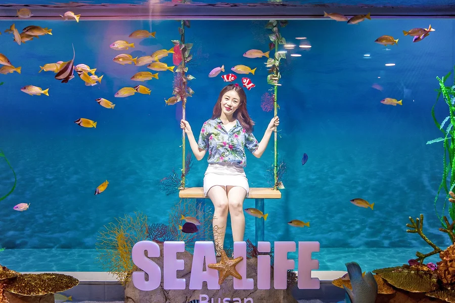 تذاكر دخول أكواريوم SEA LIFE بوسان مع قسيمة لوتيه, Busan