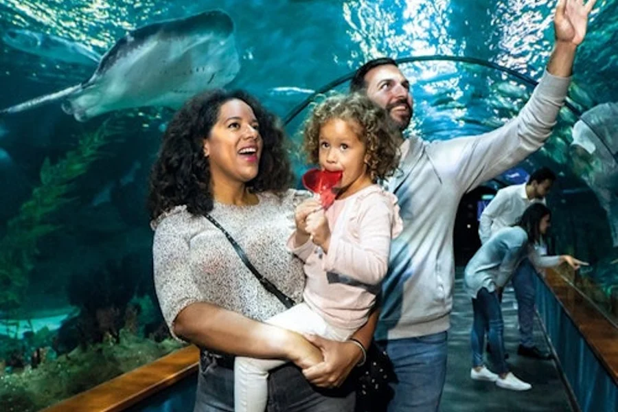 Loro Parque: Entry Ticket + Diamond Pass, Puerto De La Cruz