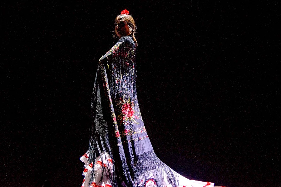 Seville Flamenco Theatre - Passion Show, Seville
