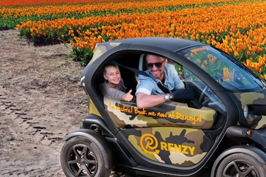 Lisse Tulip Fields: Self-Drive Tour + Audio Guide, Lisse