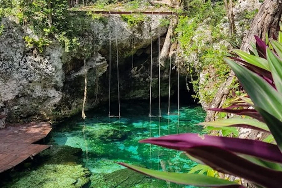 Cobá Ruins & Cenote Mariposa: Guided Tour, Transfer + Lunch, Playa del Carmen