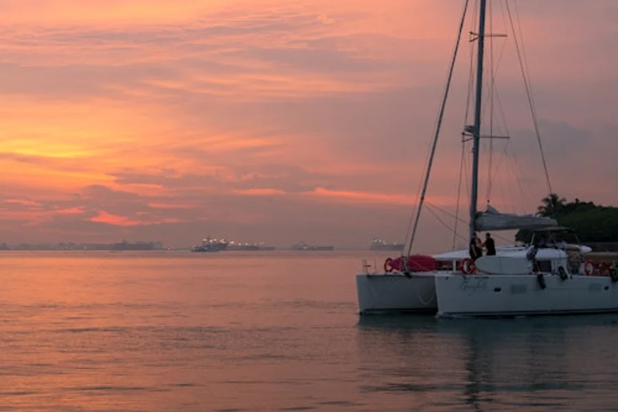 Singapore: Cruise from Sentosa with Paddle Boarding or Kayaking, Singapore