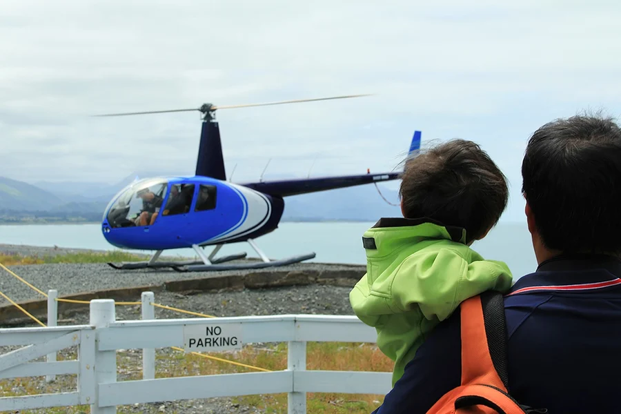 Kaikoura Classic Whale-Watching Helicopter Tour, Kaikoura