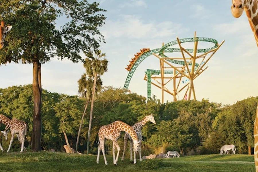 Busch Gardens Tampa: Entry Ticket with Optional Quick Queue, Tampa