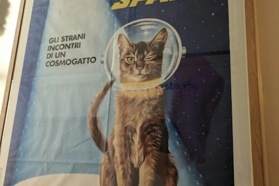 The Cat Cabinet: Entry Ticket, Amsterdam