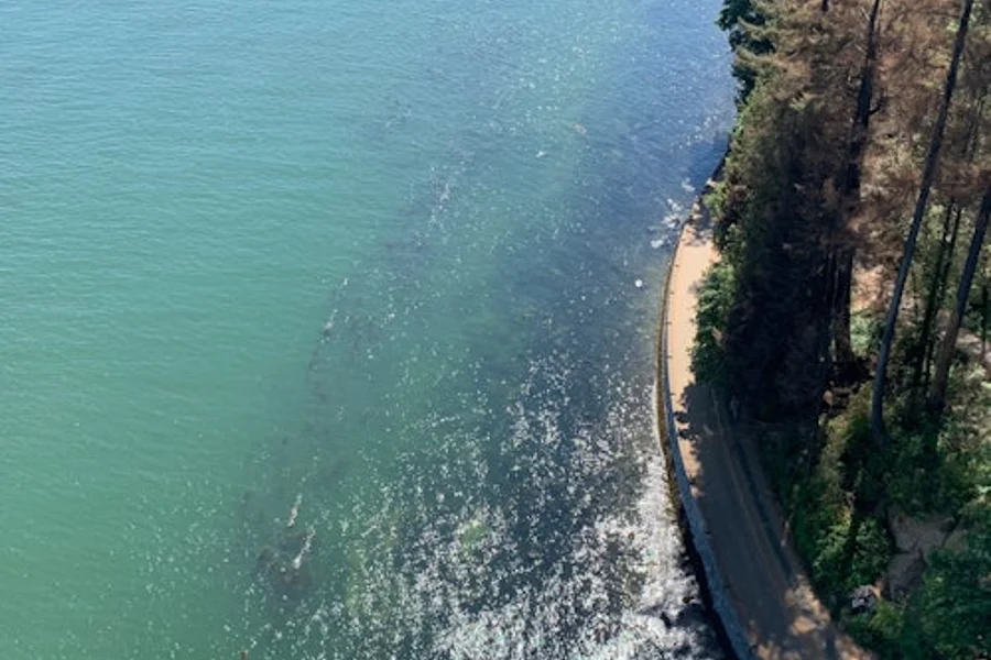 Vancouver: Guided Bike and Hike with Picnic Lunch, Vancouver