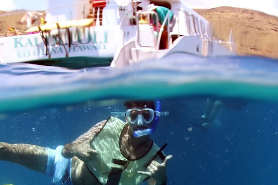 Oahu: Afternoon Dolphin Watching Cruise + Snorkeling, Hawaii