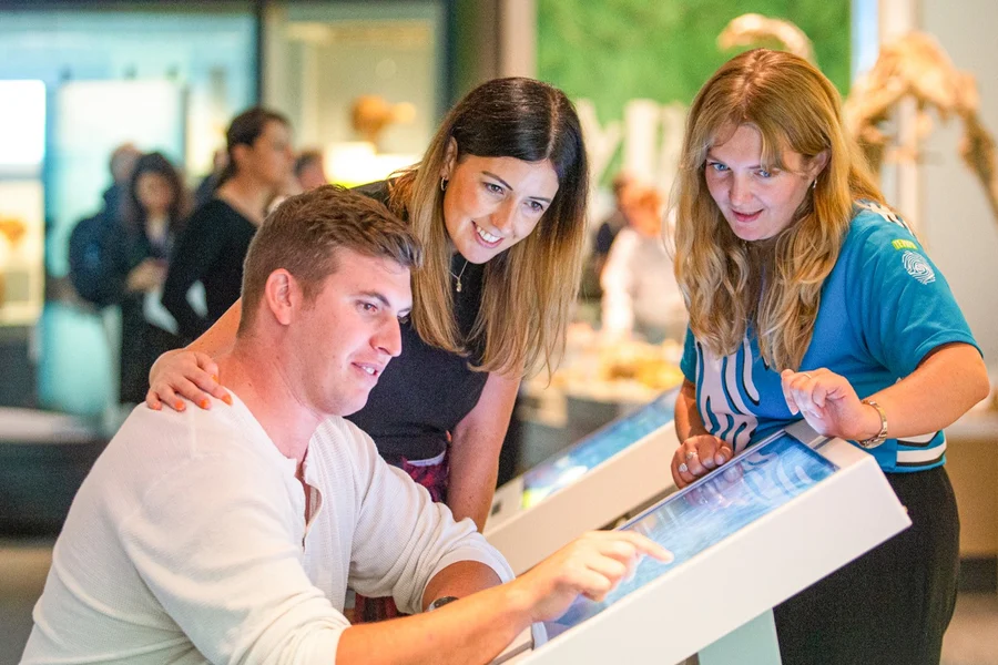 Museum of New Zealand Te Papa Tongarewa Tickets, Wellington