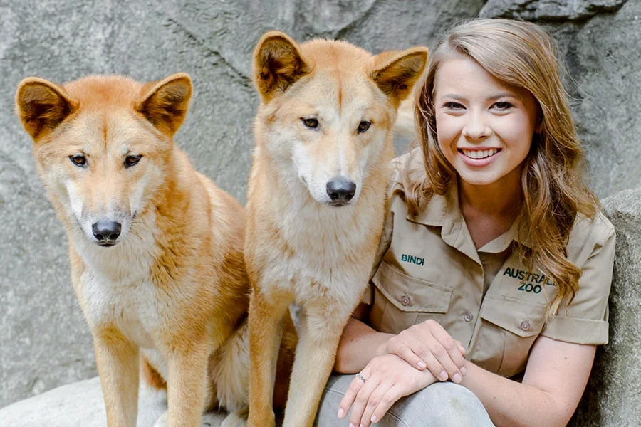 From Brisbane: Australia Zoo Tickets with Transfers, Brisbane
