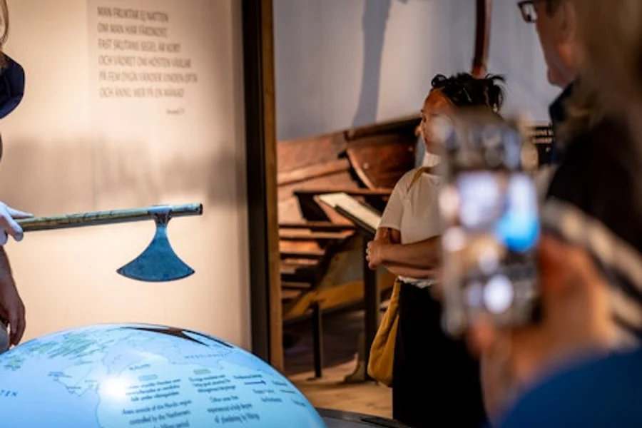 The Viking Museum: Entry Ticket, Stockholm