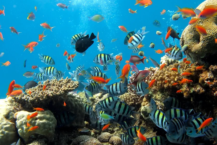 Underwater World Pattaya, Pattaya