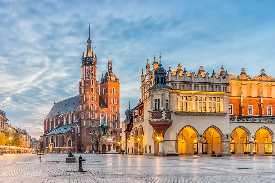 One-Way Tickets: Auschwitz-Birkenau Museum to/from Krakow Bus Station, Krakow