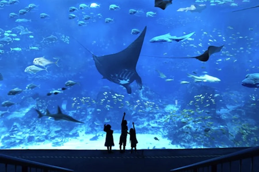Sentosa Fun Pass: Save up to 55% on Attractions and More, Singapore