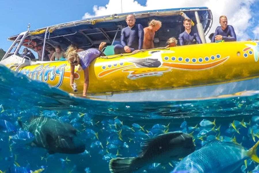 Whitsundays Ocean Rafting: Snorkel, Walk & Whitehaven Beach, Airlie Beach