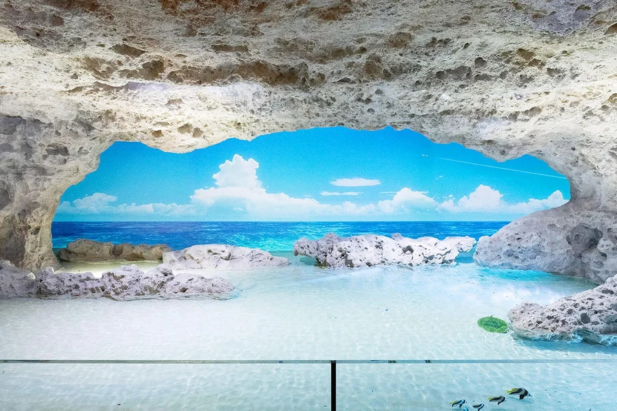 DMM Kariyushi Aquarium Admission Ticket, Okinawa