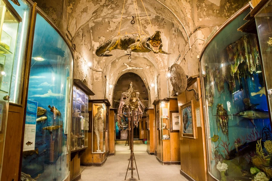 Full-Day Tour of Historical Alexandria from Cairo, Cairo