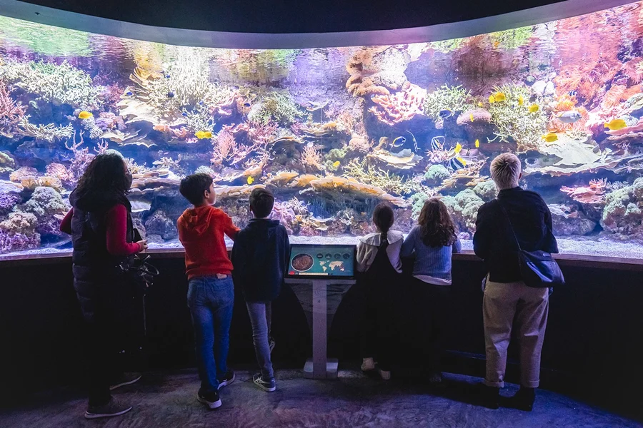 Seville Aquarium Tickets, Seville