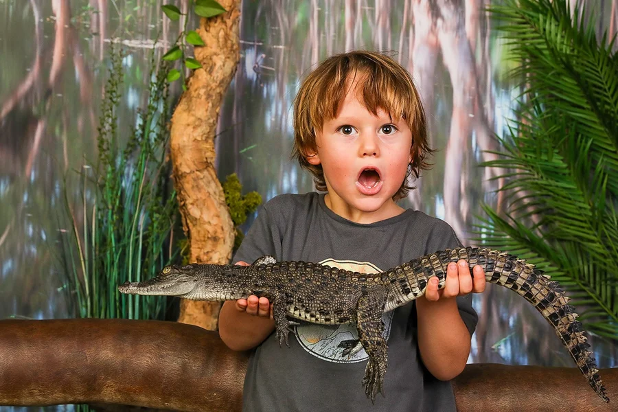 Crocosaurus Cove Tickets with Cage of Death Experience, Darwin