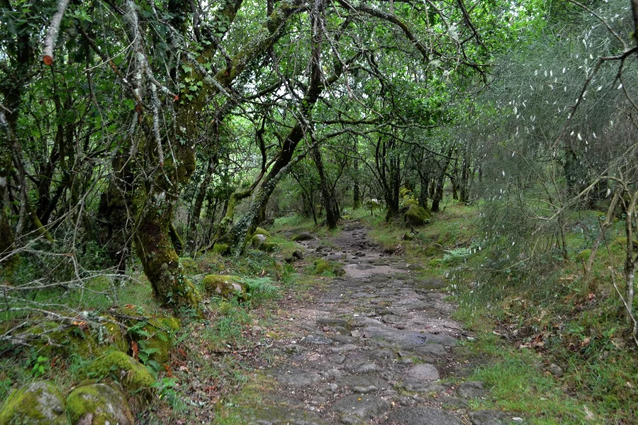 Volledige dag begeleide tour door het Peneda Gerês Nationaal Park inclusief heen- en terugreis transfers, Porto