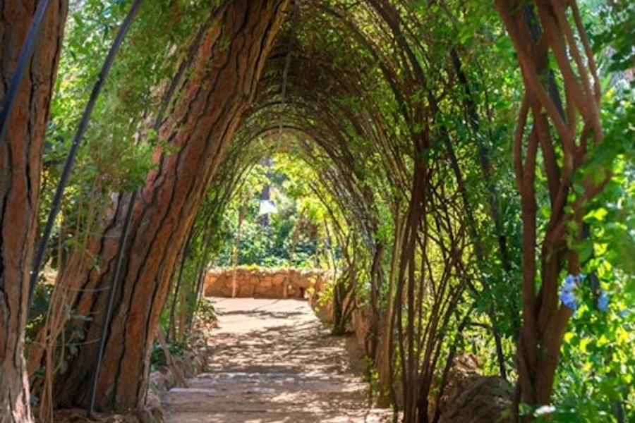 Parc Güell & Maison-musée Gaudí : billet d’entrée + audioguide, at Park Güell, Barcelona