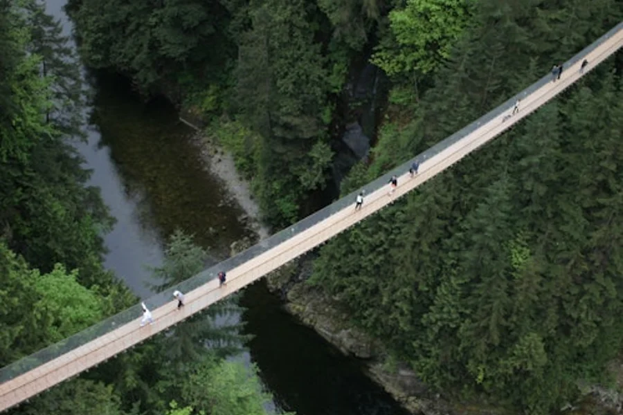 Vancouver: Capilano Suspension Bridge Park & City Tour, Vancouver