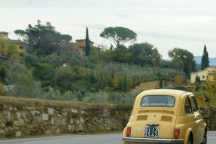 Da Firenze: tour in autonomia su una Fiat 500 d'epoca, at Florence Food Tours, Florence