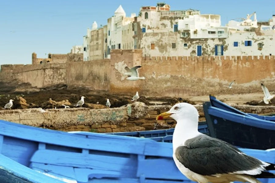 Essaouira: Guided Day Tour + Pickup from Marrakech, Marrakesh