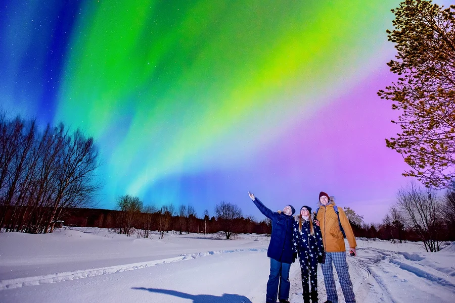Reykjavik: Northern Lights & Golden Circle Full Day Trip, Reykjavik