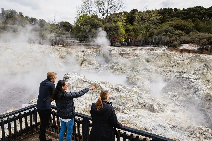 Hell's Gate Geothermal Walk & Māori Carving Tickets, Rotorua
