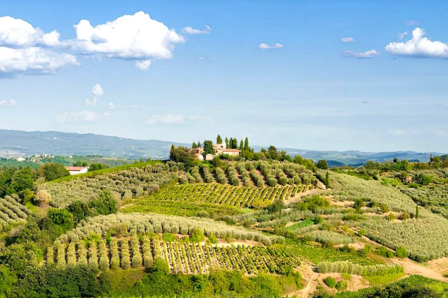 Des de Florència: Tour de Degustació de Vins del Chianti, at Piazzale Montelungo, Firenze FI, Italy, Florence