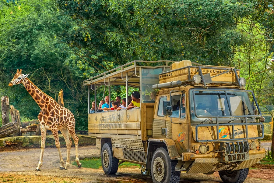 Билеты на вход в Chessington World of Adventure, at Chessington World of Adventures Resort, London