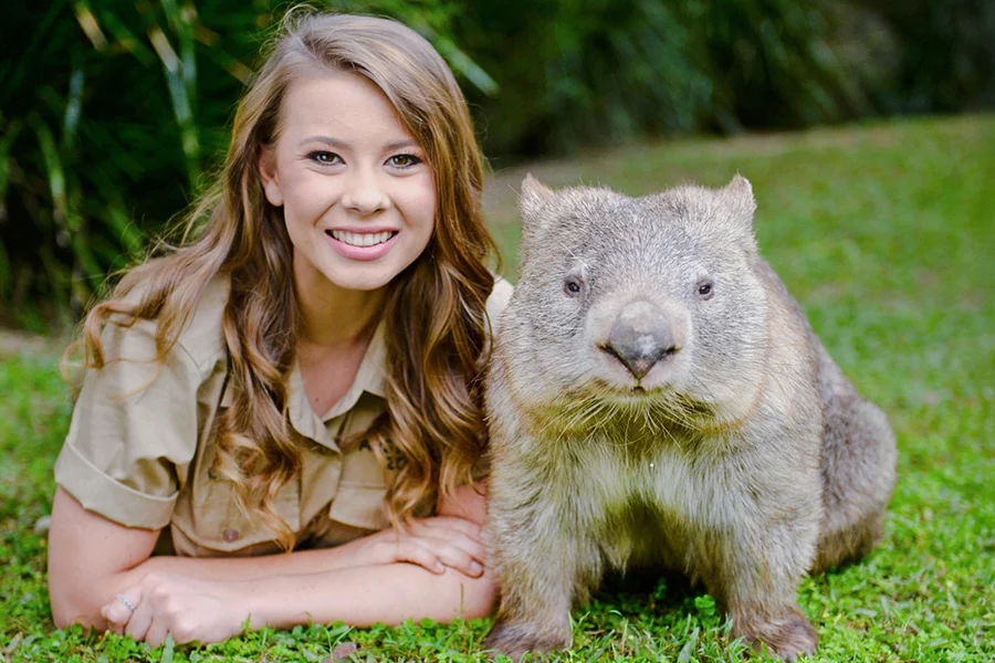 De Sunshine Coast: Ingressos para o Australia Zoo com Traslados, Sunshine Coast